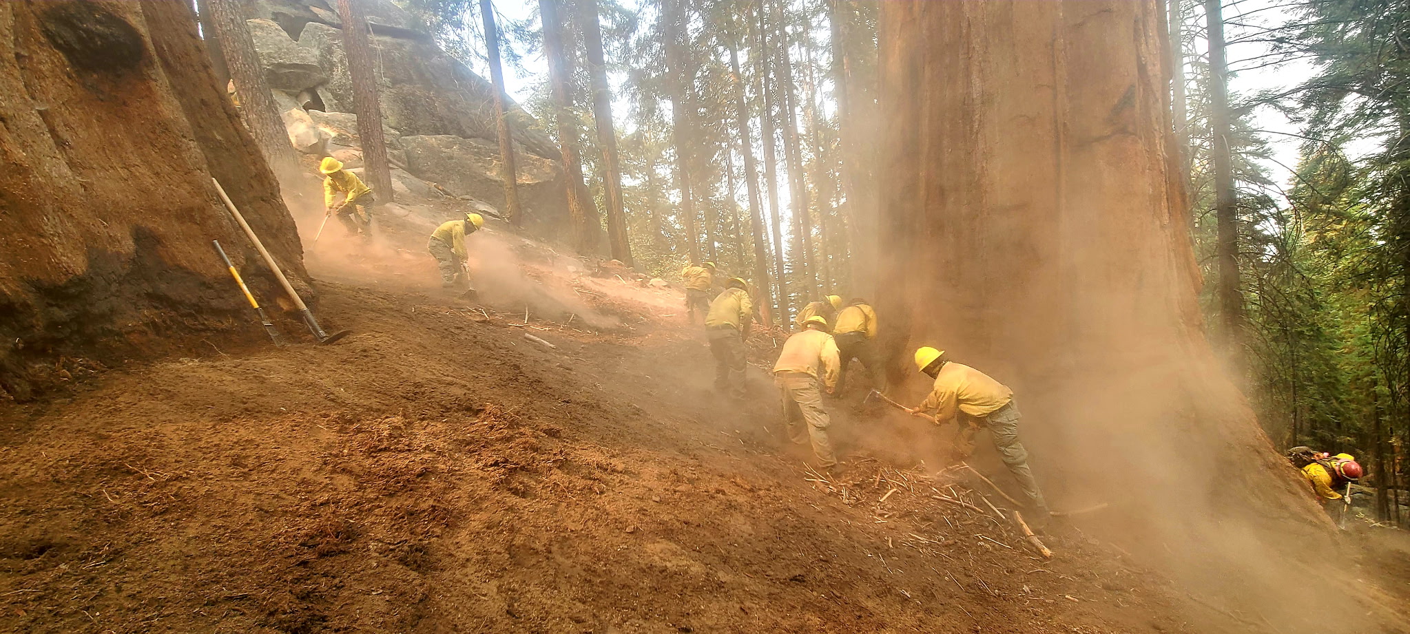 Wildland Crew Operations